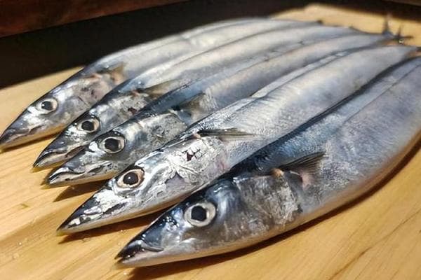 秋刀鱼：从生物学特征到选购技巧的全面解析