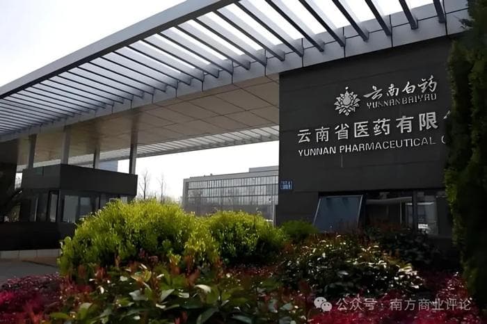在后陈发树时代：云白药走向何处？