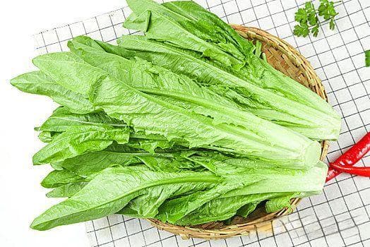 油麦菜跟莴笋是一种菜吗？