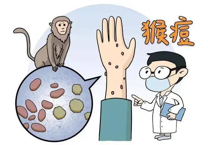 省第四人民医院传染病防控科普，如何预防猴痘