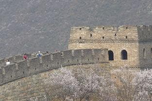 篮球巨人，扬尼斯·阿德托昆博的非凡旅程