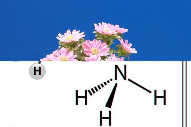 AGA 和植物疗法：以植物为基础的疗法。