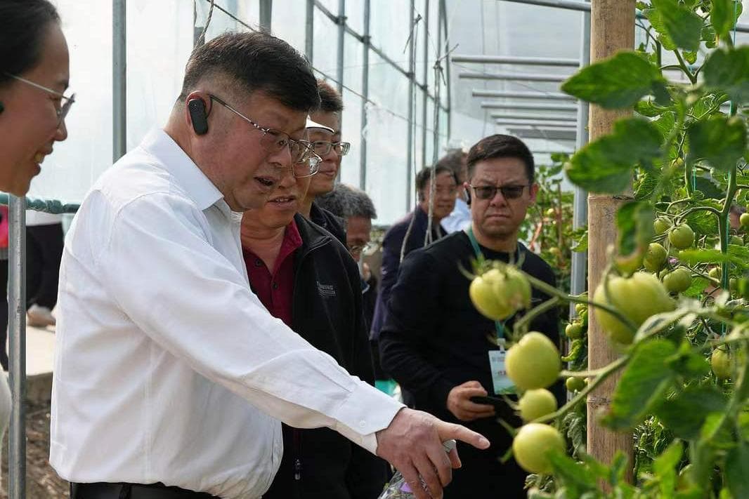 扎根一线：为设施蔬菜主产区输送科技动力