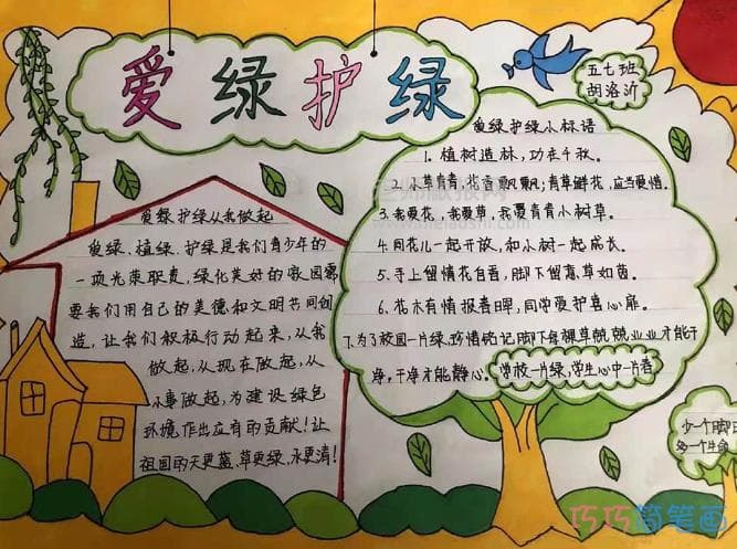 植树节大揭秘：原来植树节还有这么多内容！
