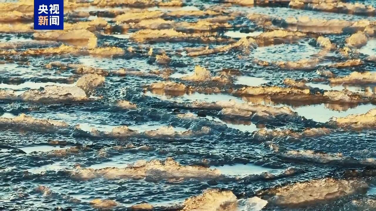 “荷叶冰”现身 秦皇岛海域出现海冰景观