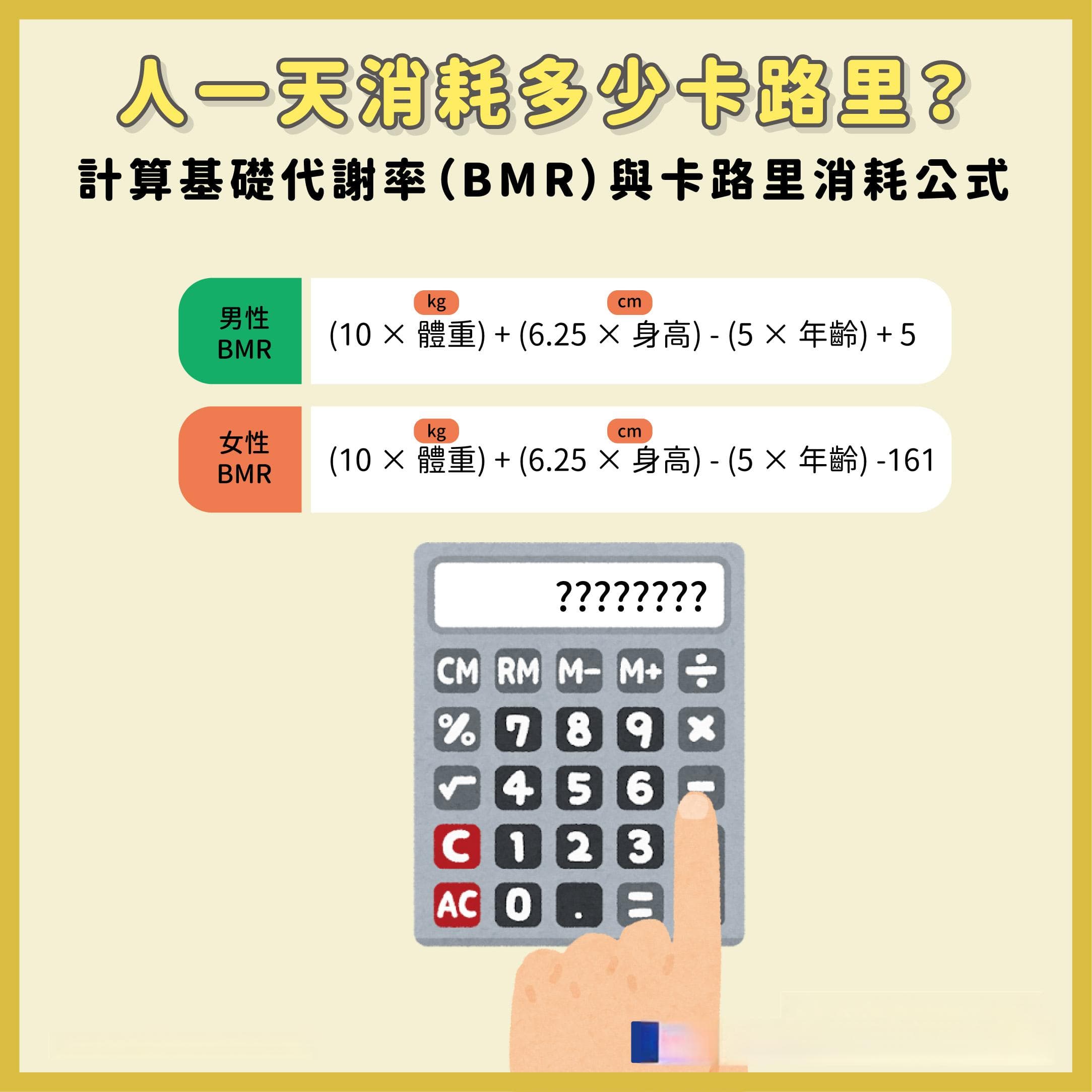 人一天消耗多少卡路里？計算基礎代謝率（BMR）與卡路里消耗公式