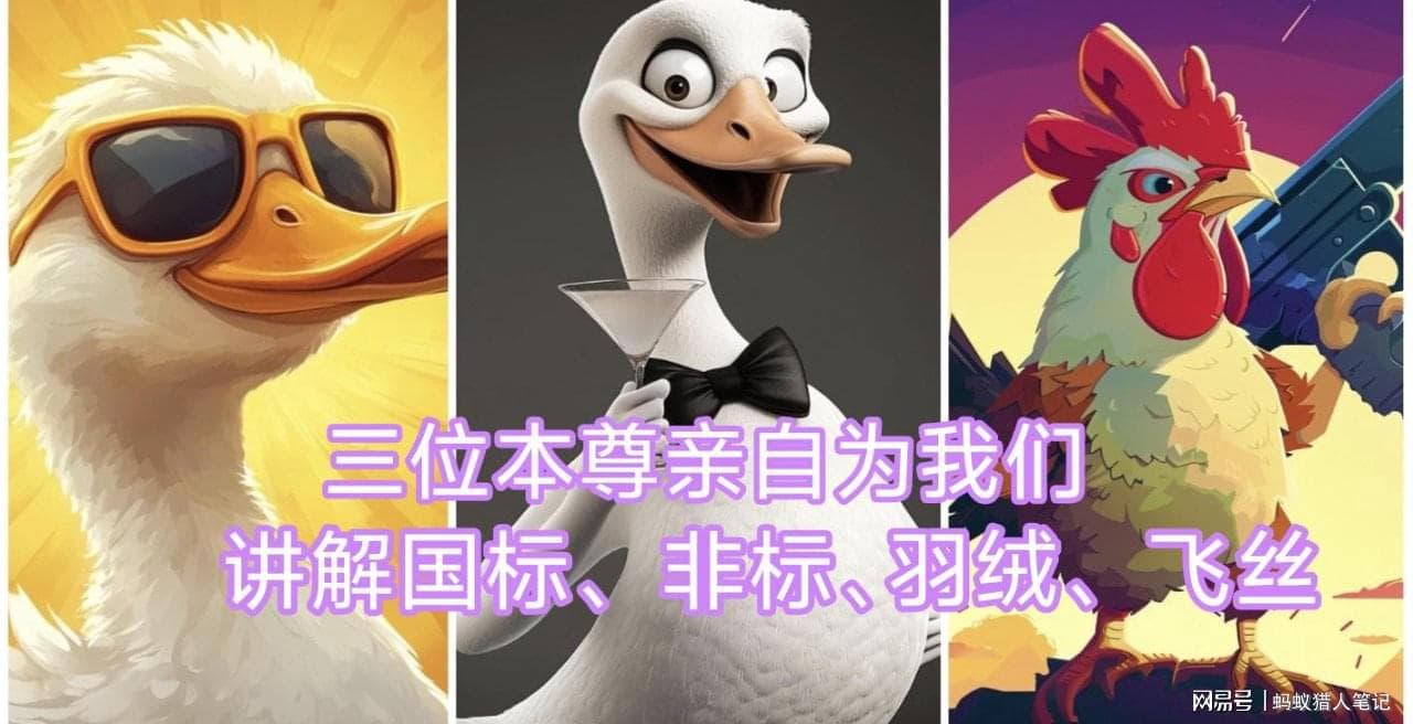 国标、非标、羽绒，飞丝，专业人士为你详细讲解！