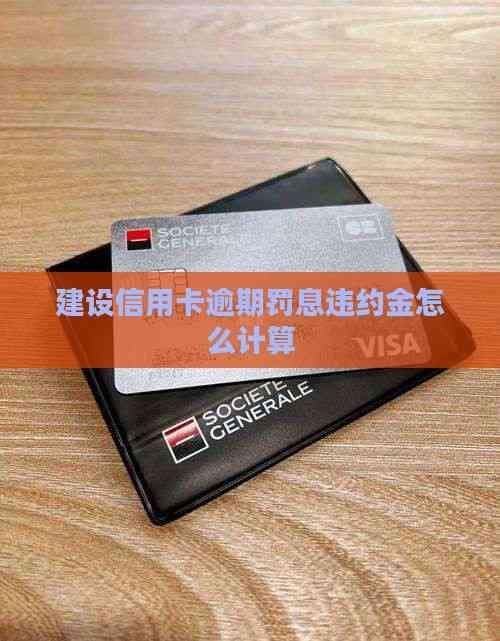 建设银行信用卡逾期罚息违约金计算详解