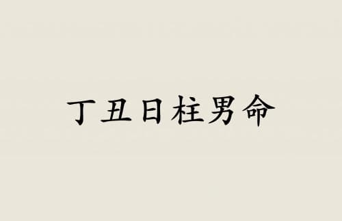 丁丑日柱男命运详解