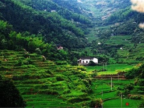 黑麋峰森林公园旅游攻略：最佳路线、门票价格及必玩景点推荐