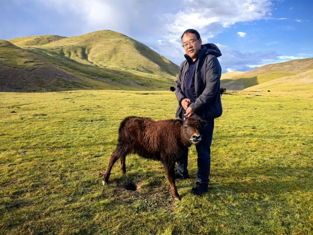 “牛博士”就是牛
