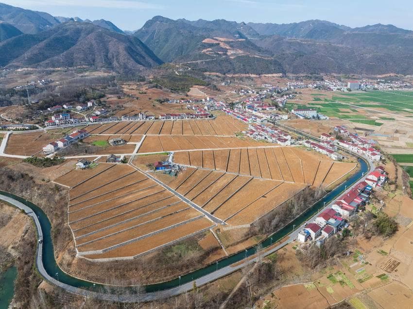 保康：“旱改水”改出良田沃土