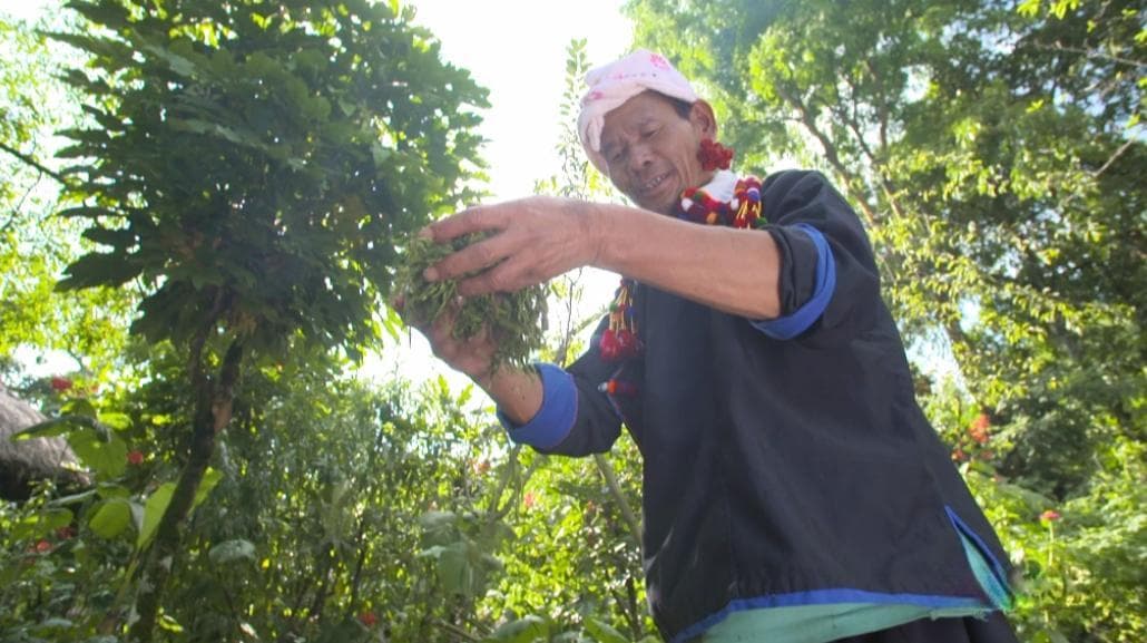 芒市：一座融合“酸甜苦辣”的美食天堂