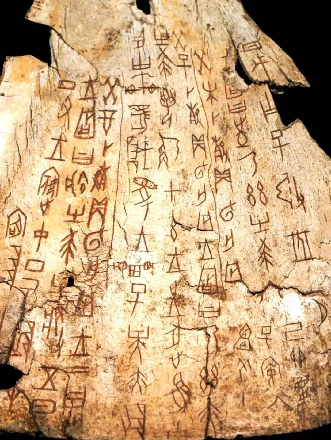 书法学专业就业市场与未来前景 —— 基于政策、行业与教育发展的多维度分析