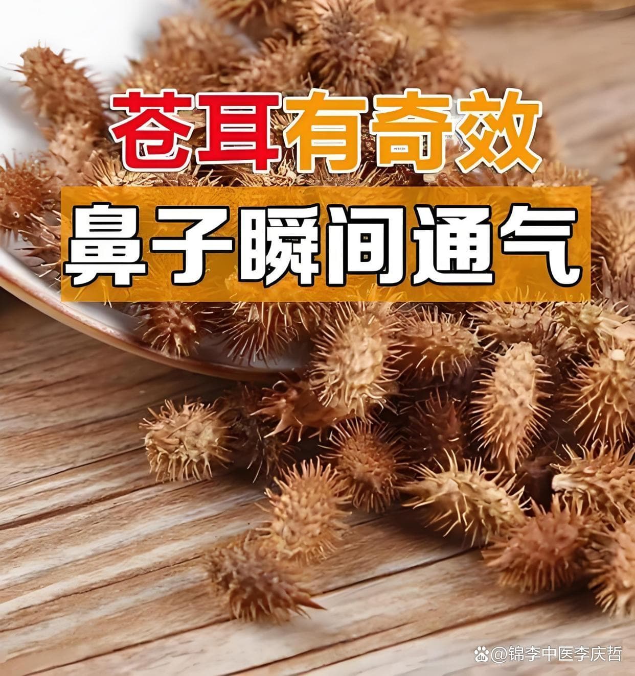 苍耳子：鼻炎克星的中药传奇
