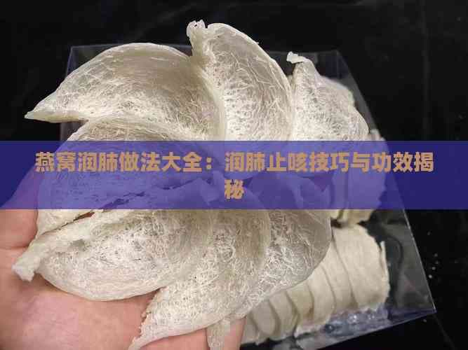 燕窝润肺做法大全：润肺止咳技巧与功效揭秘