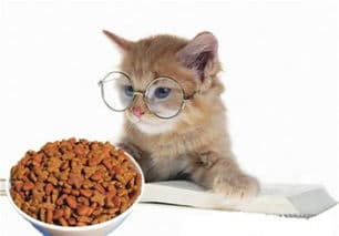 猫咪忌食清单：洋葱、葡萄、巧克力、咖啡、酒精。