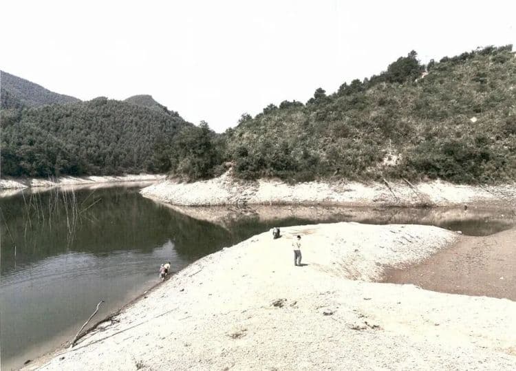 男子水库摸螺蛳意外溺亡，责任谁担？