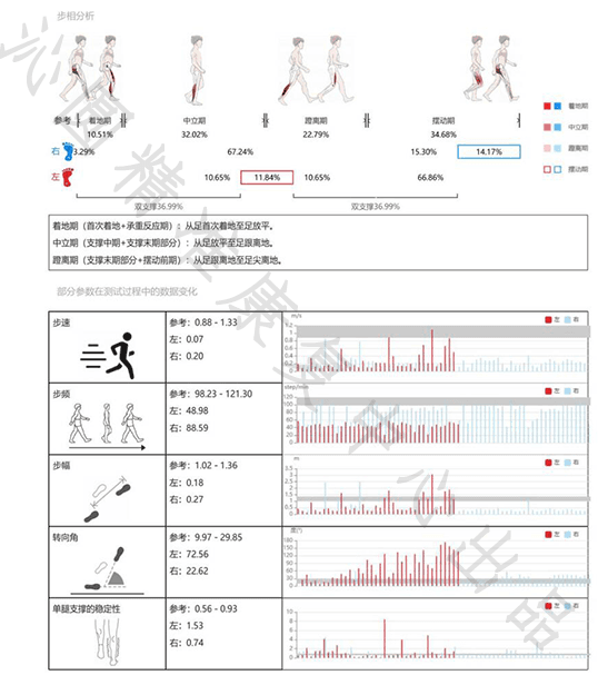 步态解码：下肢生物力学如何影响你的每一步