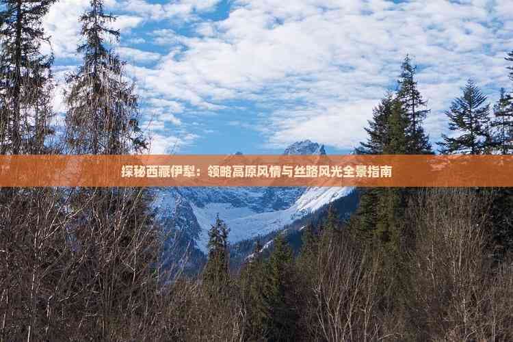 探秘新疆伊犁：领略高原风情与丝路风光全景指南