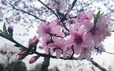 户口注销有时间限制吗？城市农村规定不同