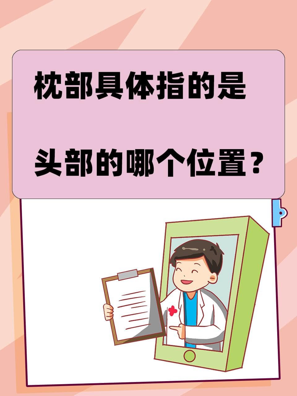 枕部具体指的是头部的哪个位置？