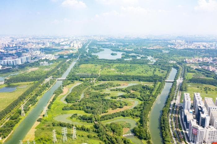 从荒地到生态绿洲：东莞国家城市湿地公园绿美蜕变之路