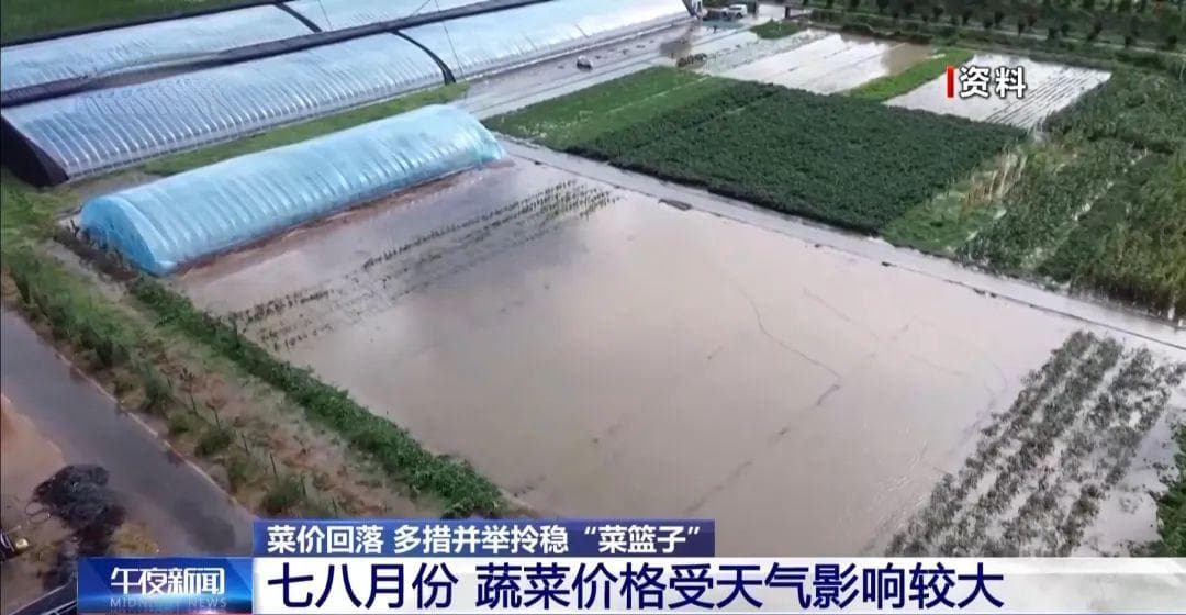 蔬菜价格开始回落