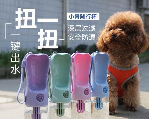 宠物狗误喝洗衣水怎么办？15个应急处理步骤和预防措施