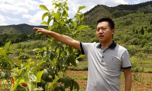 红旗渠：太行山上的“人工天河”与不朽精神丰碑