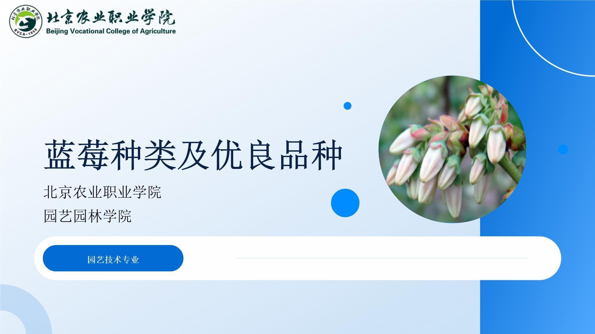 蓝莓种类及优良品种