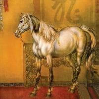 梦见白鞋是什么意思 梦到白鞋是什么预兆