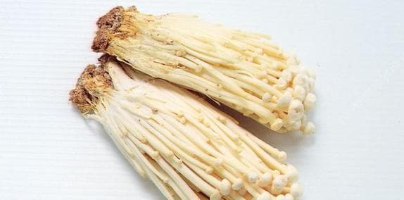 蘑菇能放冰箱吗？保存蘑菇的最佳方法是什么？