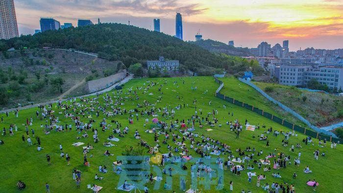 松弛感拉满！济南菠萝山“草地演唱会” 年轻人的夏夜浪漫