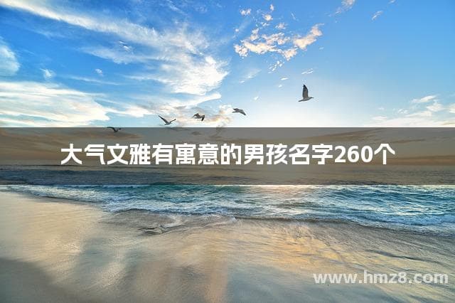 260个大气文雅有寓意的男孩名字推荐
