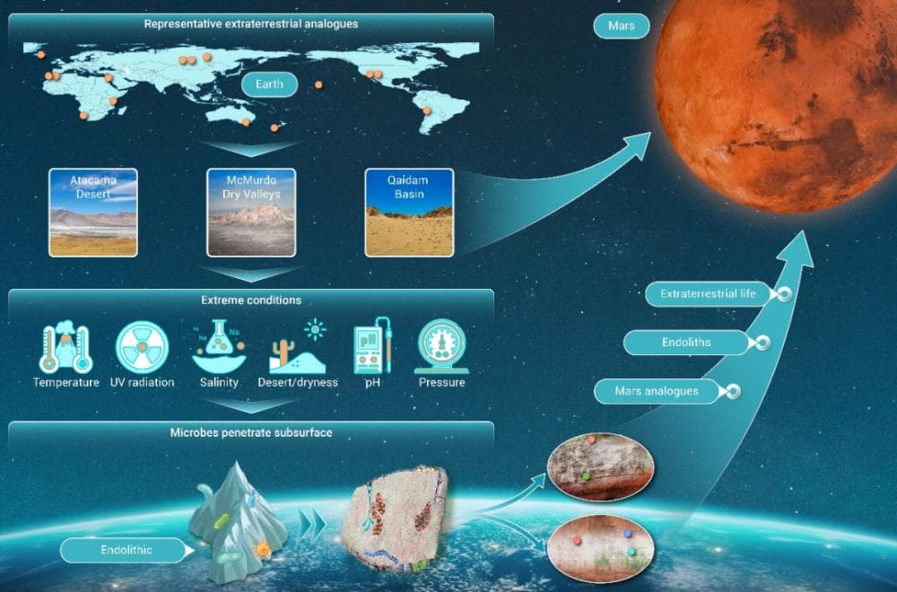 地球极端陆地环境微生物研究为探索火星生命提供重要参考