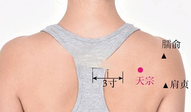 天宗穴：手太阳小肠经重要穴位，治疗肩痛、气喘、乳痈等疾病