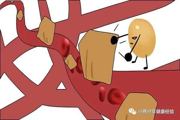 52万人研究发现：菜籽油或降低死亡风险！菜籽油怎么吃才健康？