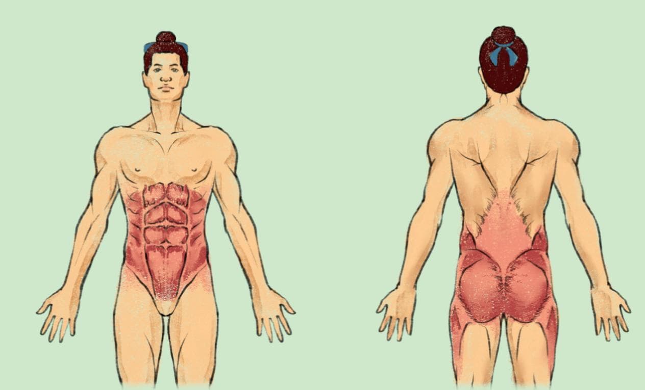 科学锻炼核心肌，远离“腰突”烦恼