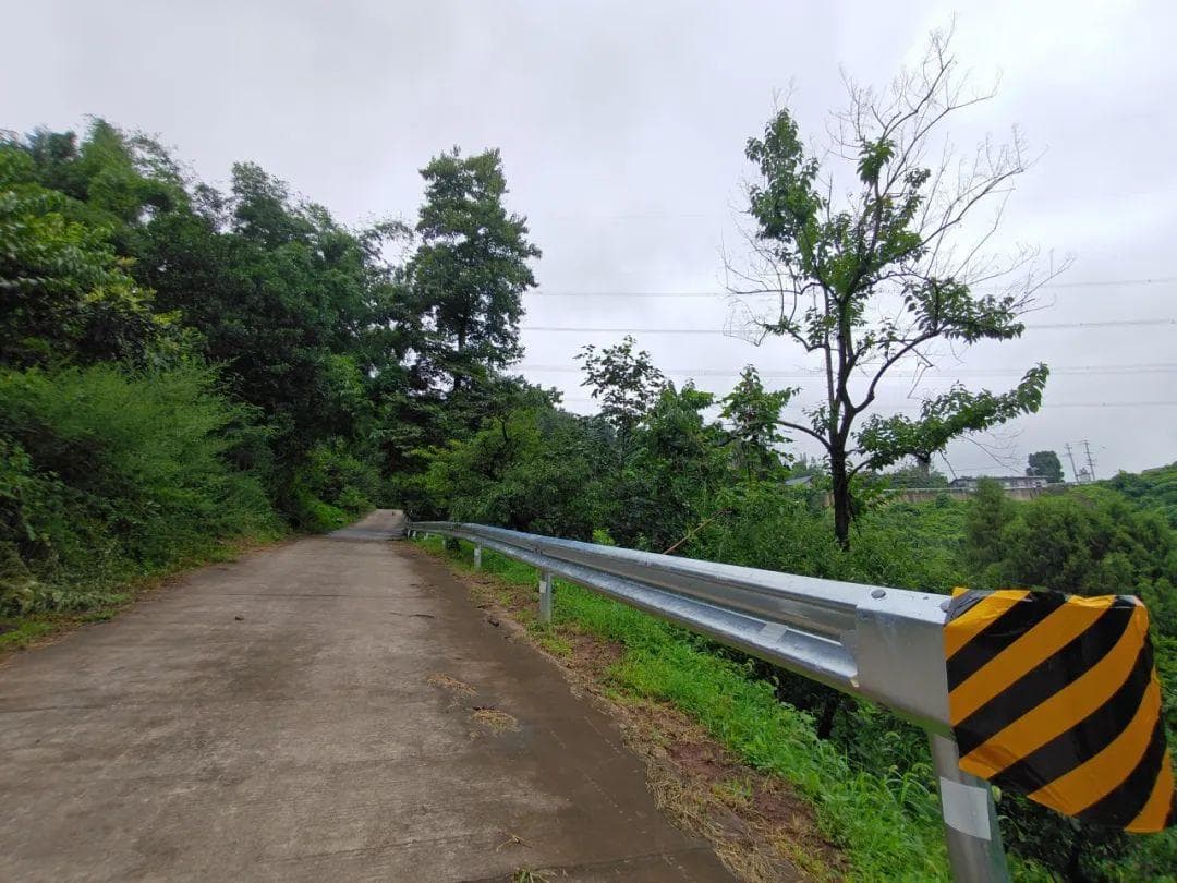 龙泉驿给乡村道路系上“安全带” 群众出行更安全