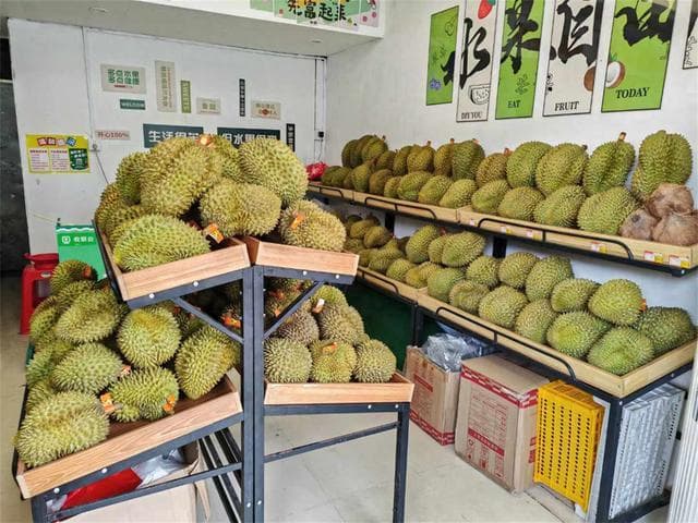 榴莲肉硬放一晚上能熟吗？榴莲肉硬度与成熟度的探索！