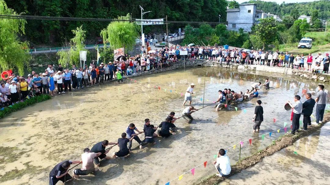 赛龙舟、包粽子、泥地拔河……贵州各地花式民俗活动迎接端午