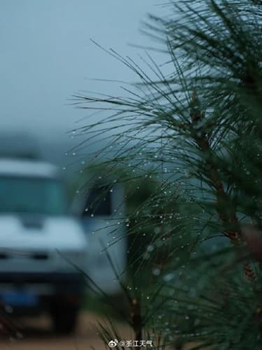 注意保暖！浙江未来三天雨雪连连 杭州等地最高温仅6至7℃
