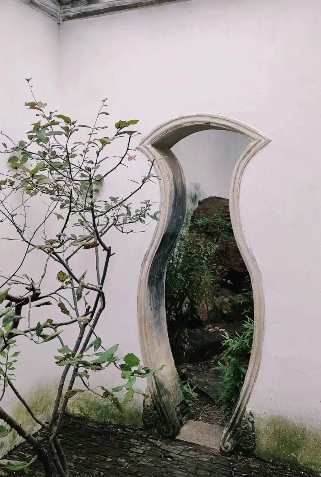 苏州园林之门：艺术与文化的完美融合