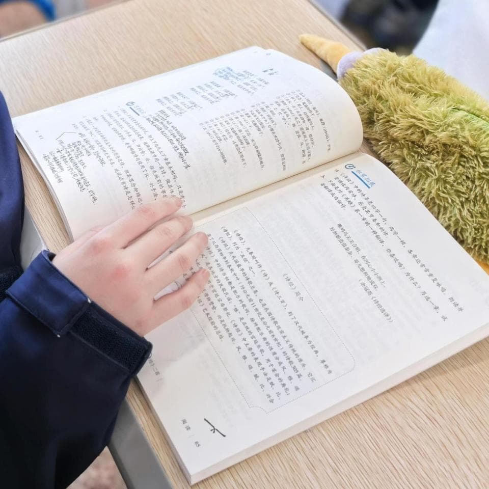 课本里的爱情丨关关雎鸠走进语文课本