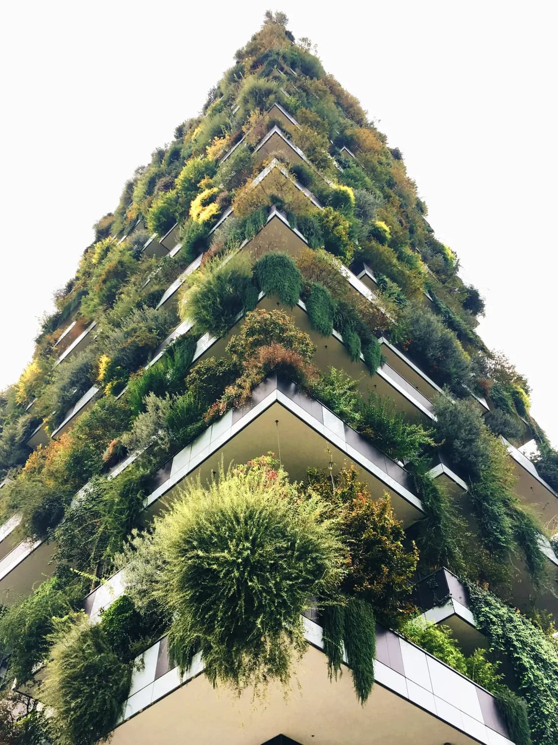 Conscious Capitalism引领企业社会责任新潮流