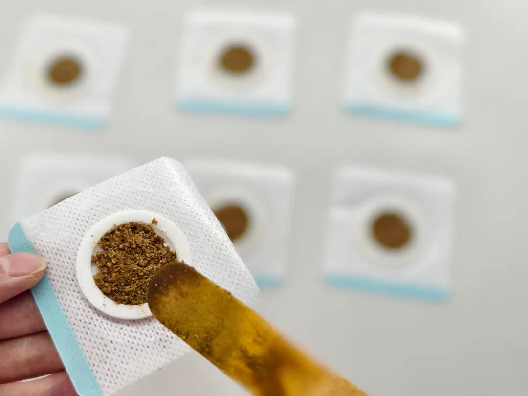 从《哪吒2》看中药敷贴   小小的 “膏药” 背后蕴含哪些大学问？