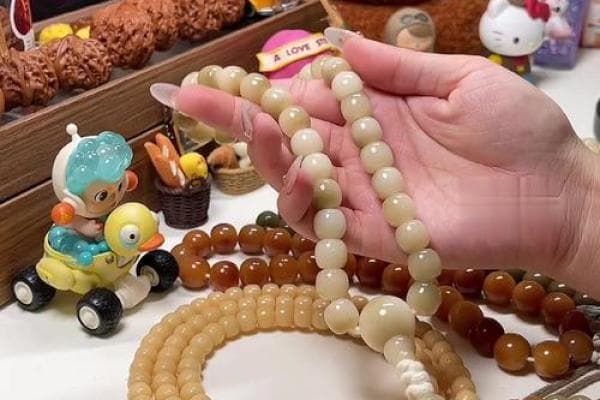 菩提根的材质揭秘：来源、特性与用途解析