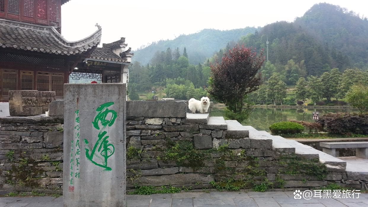 西递古村——徽派建筑风格独特，桃花源里人家