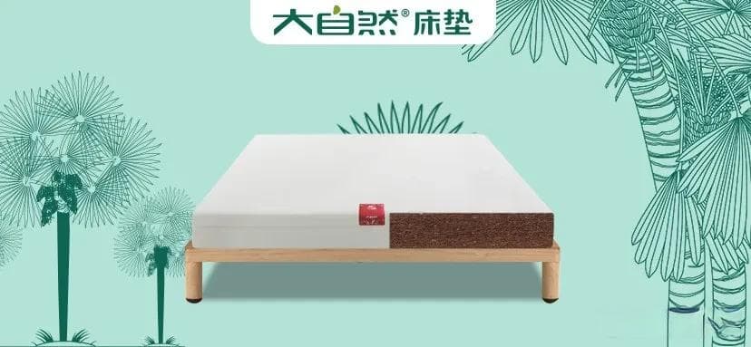 床垫材质深度剖析：教你如何挑选最适合你的睡眠伙伴